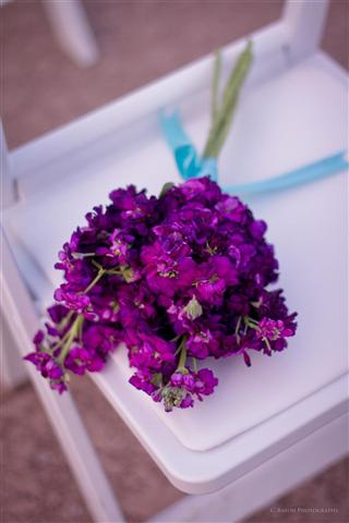 ©2011 C. Baron Photography Pine Forest Country Club, Houston Wedding Photographer, Formal Bridals, Peacock, Purple,