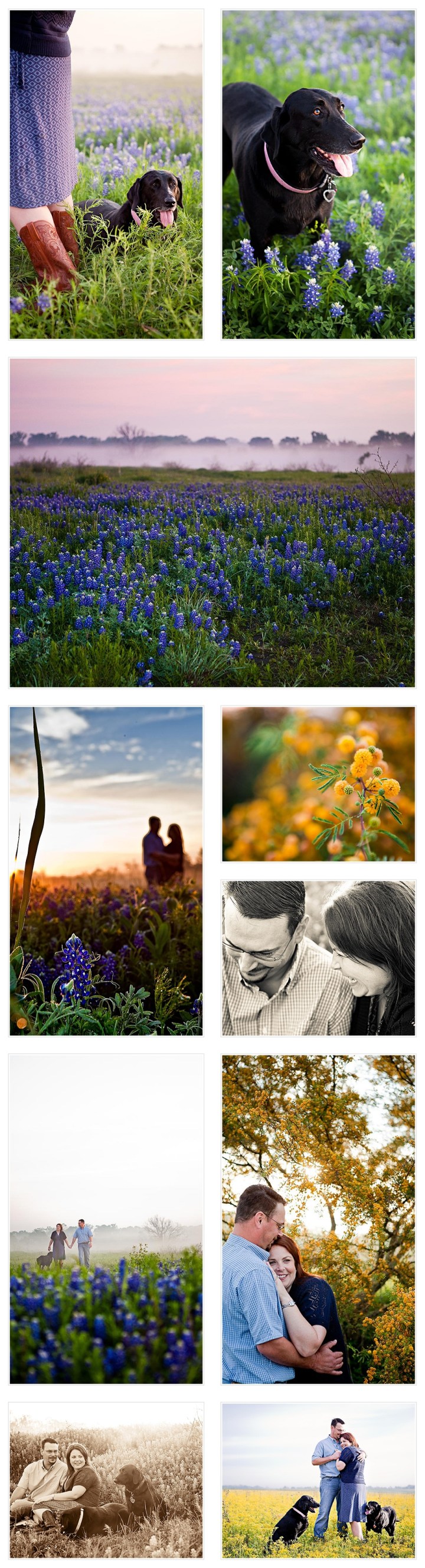 Dogs, engagement, Brenham, Chappell Hill, Washington County, Houston's Best Wedding Photographer, Texas, Sunrise, 