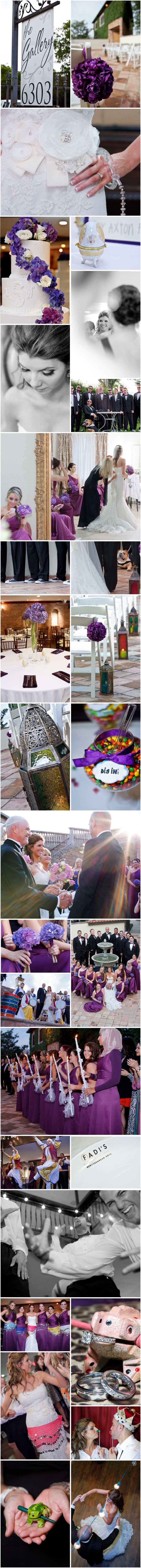 Houston Wedding Photographer, Videographer, Cinematographer, Swanky Photobooth, Egyptian Wedding, Zaffa, Belly Dancer, drums, bulldog