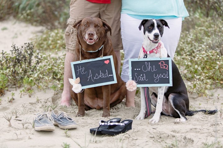 C. Baron Photography, Galveston Engagment Photographer, Houston Engagement Photographer, Galveston Texas, beach, sand, waves, seagulls, sand dune, garden, rainy