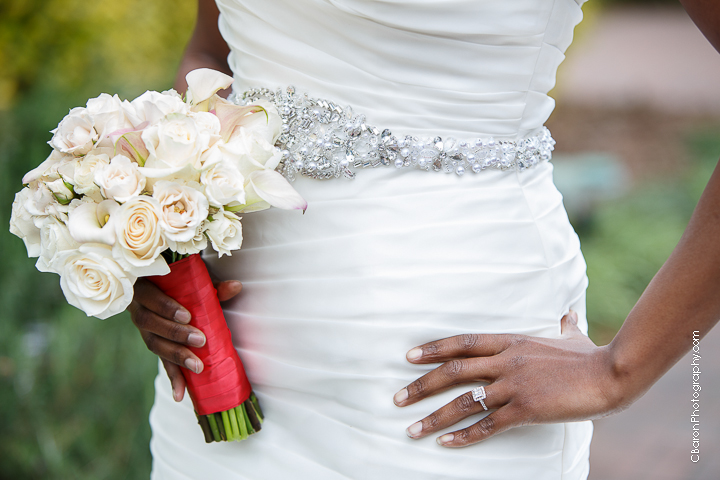 C. Baron Photography, Houston Wedding Photographer, bridals, gardens, elegant, maze, flowers, spring