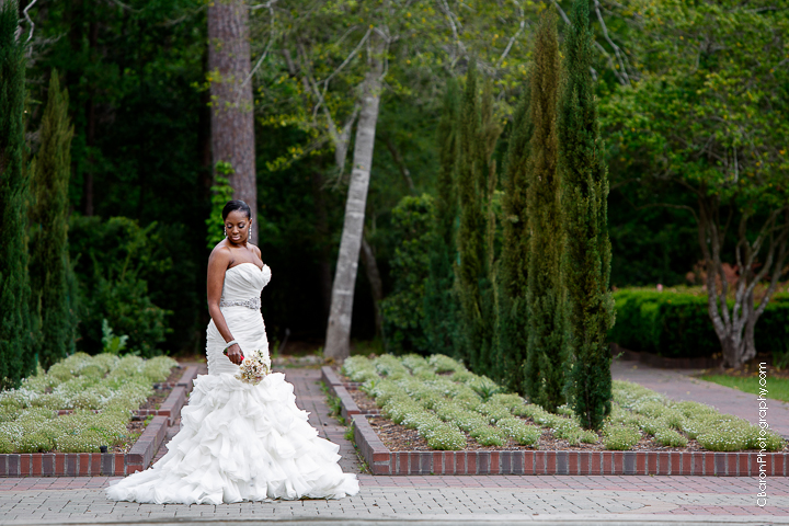 C. Baron Photography, Houston Wedding Photographer, bridals, gardens, elegant, maze, flowers, spring