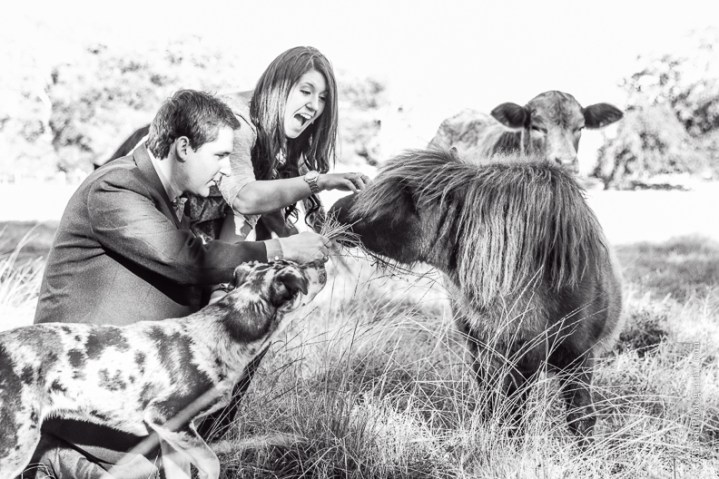 C. Baron Photography, Houston Engagement Photographer, Angleton Engagement Photographer, Out Under the Trees, horses, cows, pony, catahoula, dog, cowboy boots, wagon wheel, rustic, country chic