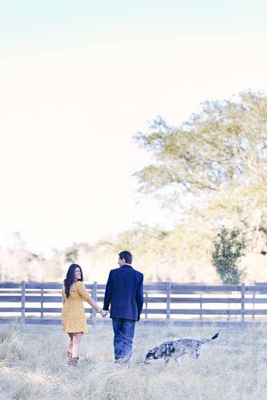 C. Baron Photography, Houston Engagement Photographer, Angleton Engagement Photographer, Out Under the Trees, horses, cows, pony, catahoula, dog, cowboy boots, wagon wheel, rustic, country chic