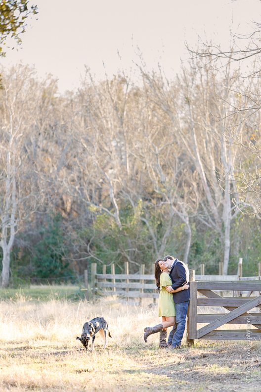 C. Baron Photography, Houston Engagement Photographer, Angleton Engagement Photographer, Out Under the Trees, horses, cows, pony, catahoula, dog, cowboy boots, wagon wheel, rustic, country chic