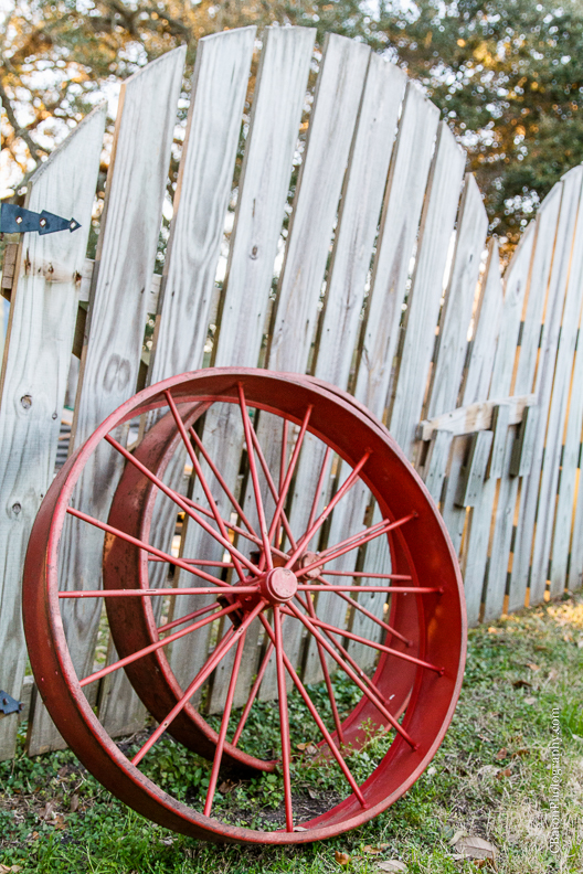 C. Baron Photography, Houston Engagement Photographer, Angleton Engagement Photographer, Out Under the Trees, horses, cows, pony, catahoula, dog, cowboy boots, wagon wheel, rustic, country chic