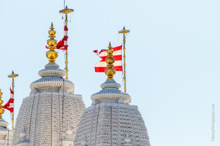 C. Baron Photography, Sugar Land Wedding Photographer, Sugarland Wedding Photogrpher, Oyster Creek Park, winter, sari, gold, BAPS Swaminarayan Sanstha, South Asian
