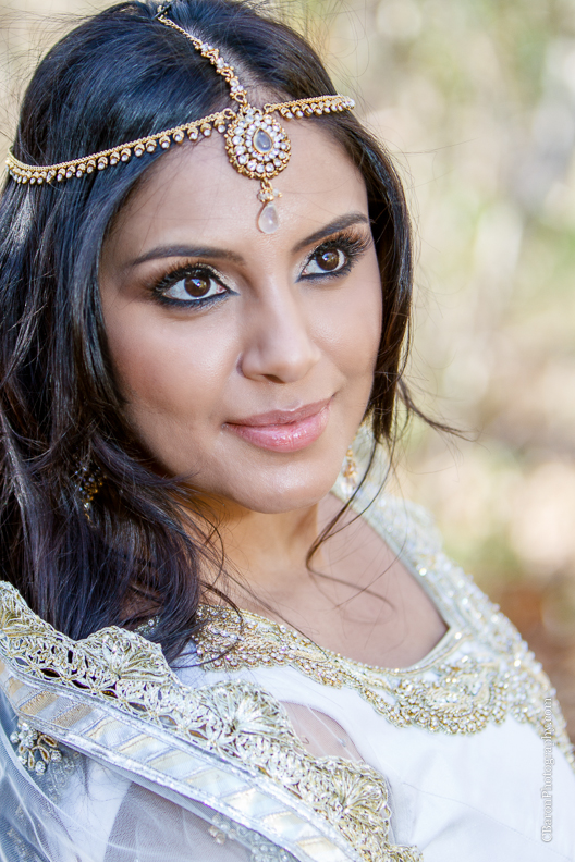 C. Baron Photography, Sugar Land Wedding Photographer, Sugarland Wedding Photogrpher, Oyster Creek Park, winter, sari, gold, BAPS Swaminarayan Sanstha, South Asian