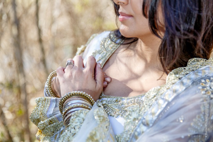 C. Baron Photography, Sugar Land Wedding Photographer, Sugarland Wedding Photogrpher, Oyster Creek Park, winter, sari, gold, BAPS Swaminarayan Sanstha, South Asian