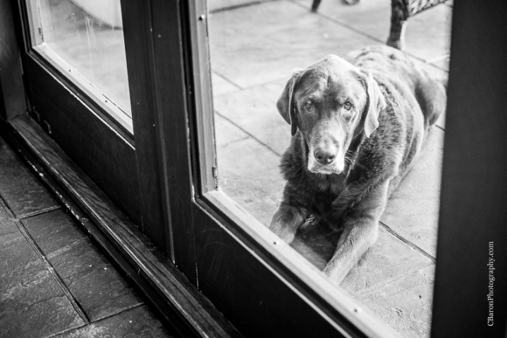 C. Baron Photography, backyard, Beaumont Wedding Photographer, Calder Place, candleabra, candles, elegant, historic neighborhood, Houston Wedding Photographer, lace, magnolia, oak tree, paper lanterns, pink, southern, spring, Texas