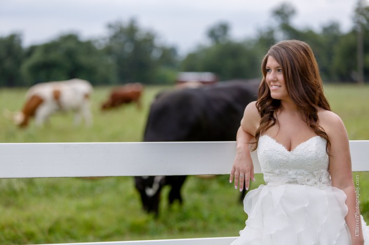 C. Baron Photography, Houston Wedding Photographer, Briscoe Manor, Richmond Texas, longhorn cattle, chapel, Paloma Blanca, cathedral veil, ruffled ballgown, cowboy boots