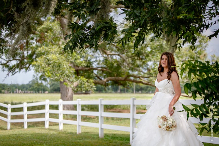 C. Baron Photography, Houston Wedding Photographer, Briscoe Manor, Richmond Texas, longhorn cattle, chapel, Paloma Blanca, cathedral veil, ruffled ballgown, cowboy boots