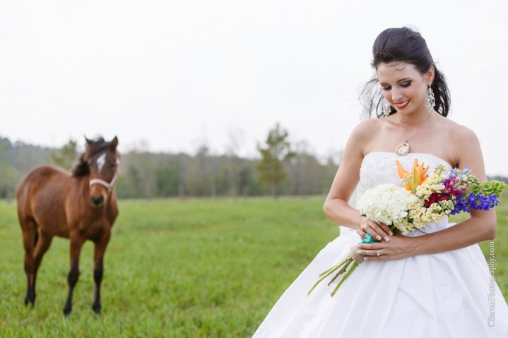 C. Baron Photography, Houston Wedding Photographer, Hunstville Wedding Photographer, country, horses. red chair, blue, pony, sunset, rustic