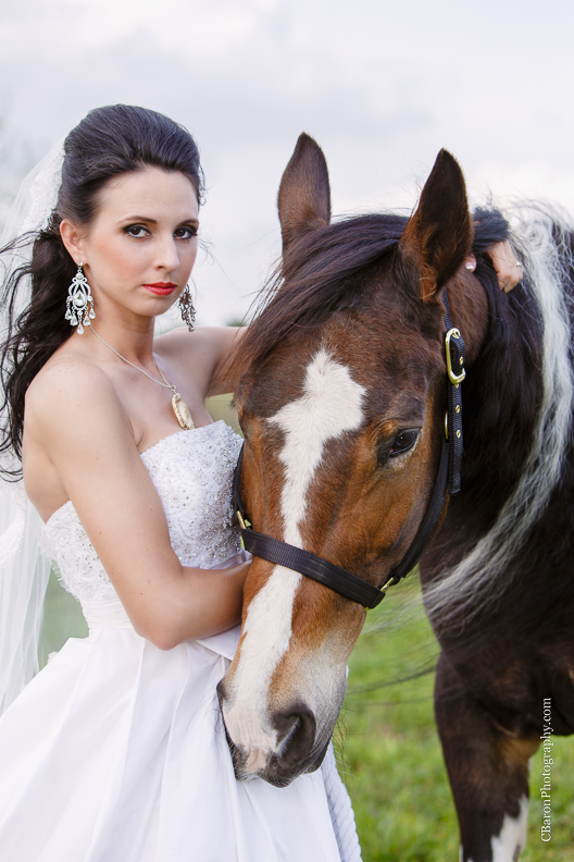C. Baron Photography, Houston Wedding Photographer, Hunstville Wedding Photographer, country, horses. red chair, blue, pony, sunset, rustic