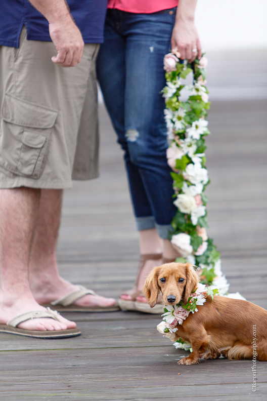 C. Baron Photography, Houston Engagement Photographer, Waller Engagement Photographer, Aggies, country, dog, stone, Texas, Texas A&M, azaleas, dock, spring, flower leash