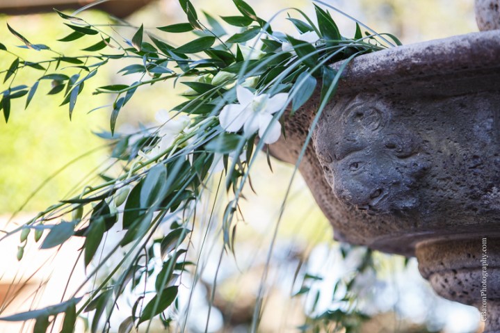 C. Baron Photography, Houston Wedding Photographer, The Gallery, couple, fire truck, HFD, black, white, white flowers, birdseed, first look, sunset, groom, bride, November, fall