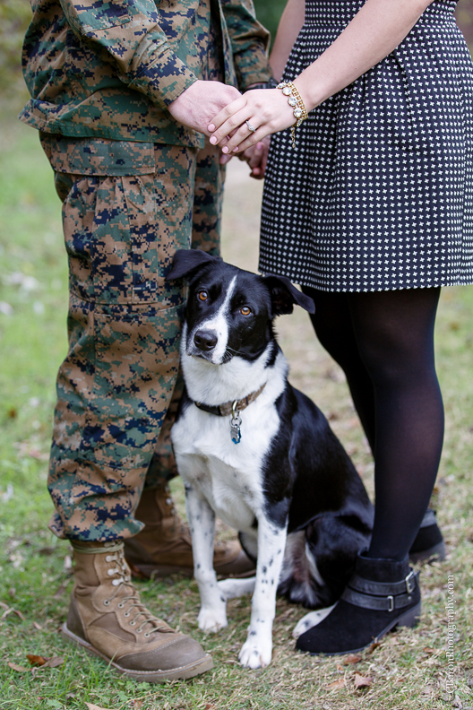 C. Baron Photography, Houston Engagement Photographer, park, boarder collie, dog, US Marine Corp, US Marines, utility uniform, fatigues, cap, trees, winter, ID tag