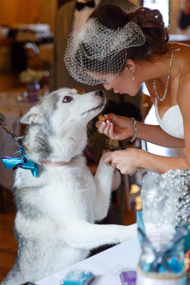 C-Baron-Photo-Pecan-Springs-Wedding-Dana-David-366 (Medium)