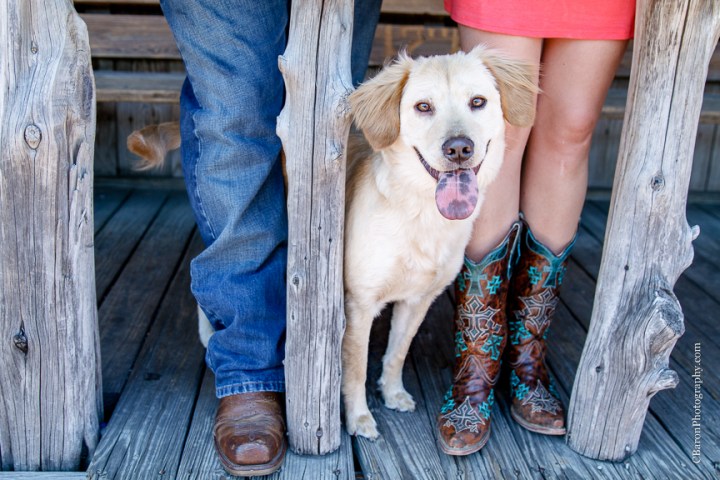 C. Baron Photography, Houston Engagement Photographer, College Station, Texas, Aggie, TAMU, 2014, Century Tree, couple, Dixie Chicken, dog, boots