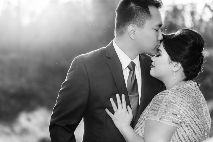 C. Baron Photography, Houston Wedding Photographer, Cypress Creek, day after session, engagement session, bride, groom, formal gown, Texas, trails, grass, trees, South Asian, sunset