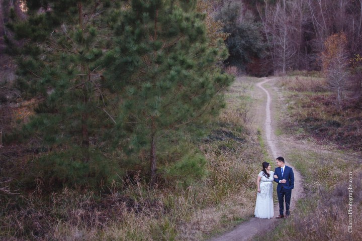 C. Baron Photography, Houston Wedding Photographer, Cypress Creek, day after session, engagement session, bride, groom, formal gown, Texas, trails, grass, trees, South Asian, sunset