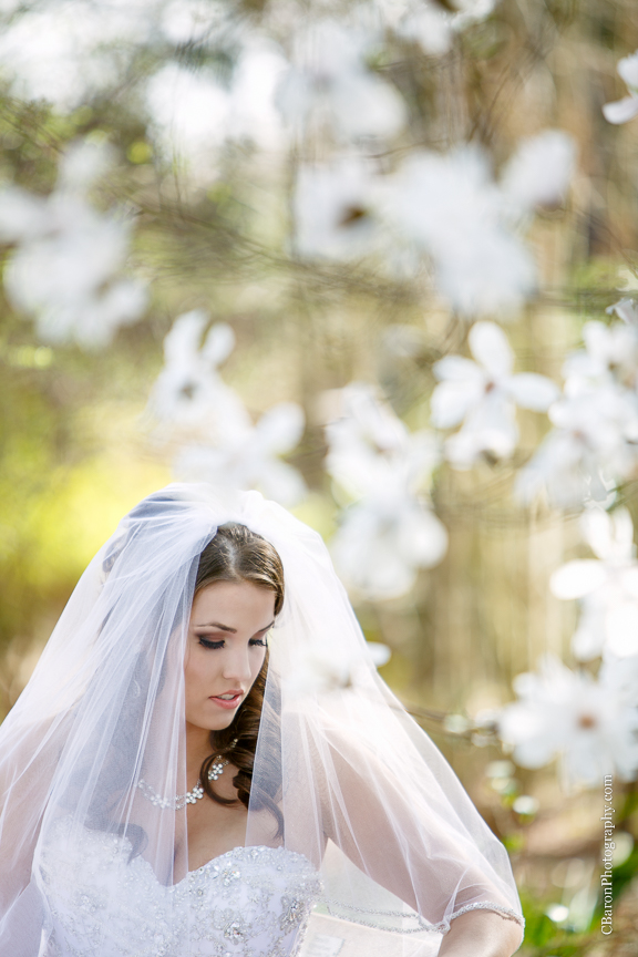C. Baron Photography, Houston Wedding Photographer, Mercer Aboretum and Botanic Gardens, Humble, Texas, Spring, strapless, Princess Bridal, Alfred Angelo, white, cream, pearls, veil, trees
