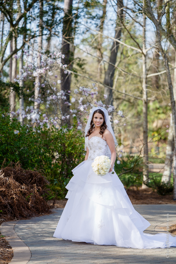C. Baron Photography, Houston Wedding Photographer, Mercer Aboretum and Botanic Gardens, Humble, Texas, Spring, strapless, Princess Bridal, Alfred Angelo, white, cream, pearls, veil, trees