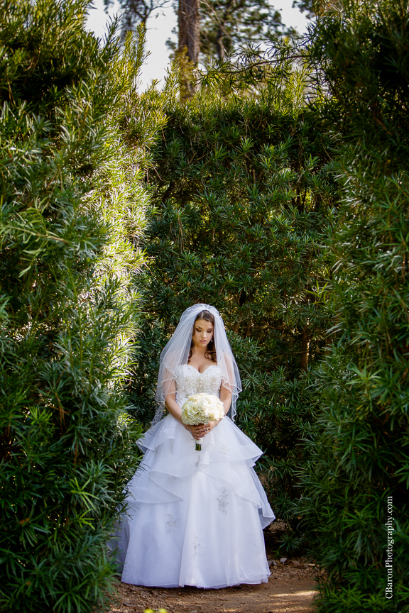 C. Baron Photography, Houston Wedding Photographer, Mercer Aboretum and Botanic Gardens, Humble, Texas, Spring, strapless, Princess Bridal, Alfred Angelo, white, cream, pearls, veil, trees