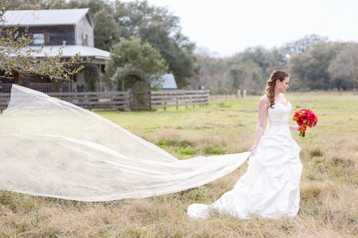 C. Baron Photography, Houston Wedding Photographer, Angleton Wedding Photographer, Brazos Springs, Out Under the Trees, bridals, strapless gown, red, orange, cowboy boots, fields veil, rustic, country, Texas
