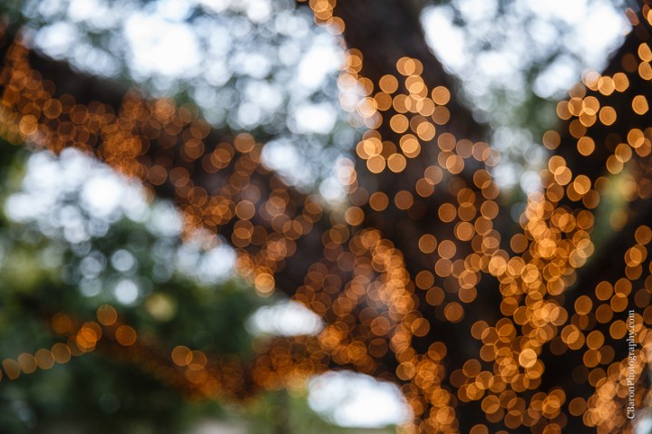 C. Baron Photography, Houston Wedding Photographer, Spring, Texas, fall, water fountain, mariachis, chandelier, outdoor wedding, outdoor ceremony, scrabble, red, roses, Floral Events, Oak Tree Manor, petals