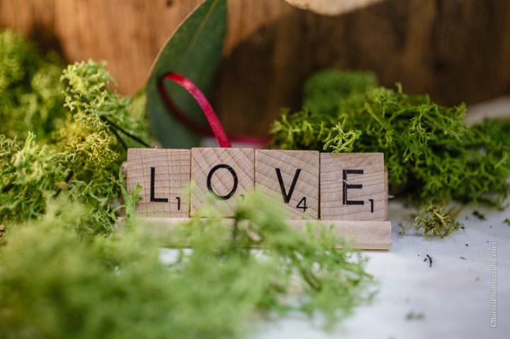C. Baron Photography, Houston Wedding Photographer, Spring, Texas, fall, water fountain, mariachis, chandelier, outdoor wedding, outdoor ceremony, scrabble, red, roses, Floral Events, Oak Tree Manor, petals