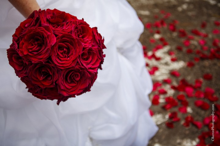 C. Baron Photography, Houston Wedding Photographer, Bridals, cemetery, Christmas, crypt, Nightmare Before Christmas, November, red roses, tombstone, Belle gown, trees, Floral Events, strapless