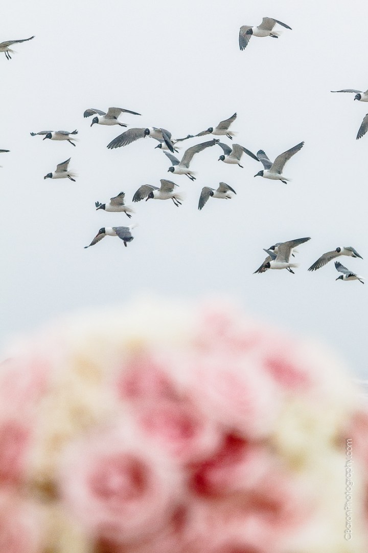 C-Baron-Photo-Galveston Wedding- Lisa Marie-Travis-144