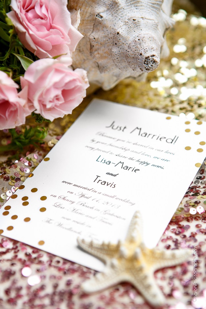 C-Baron-Photo-Galveston Wedding- Lisa Marie-Travis-160