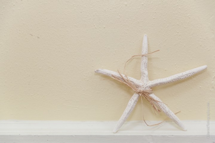 C. Baron Photography, Galveston Wedding Photographer, Hotel Galvez and Spa, blue, Christmas, December, Downtown Blooms, groom, bride, couple, seawall, waves, starfish, veil, umbrella, Pleasure Pier, rain, candy bar, beach