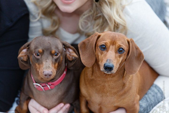 C. Baron Photography, Houston Wedding Photographer, Engagement, Texas, couple, dogs, lake, Lake Conroe, lakehouse, water, Fall, leaves, pier, dachshund