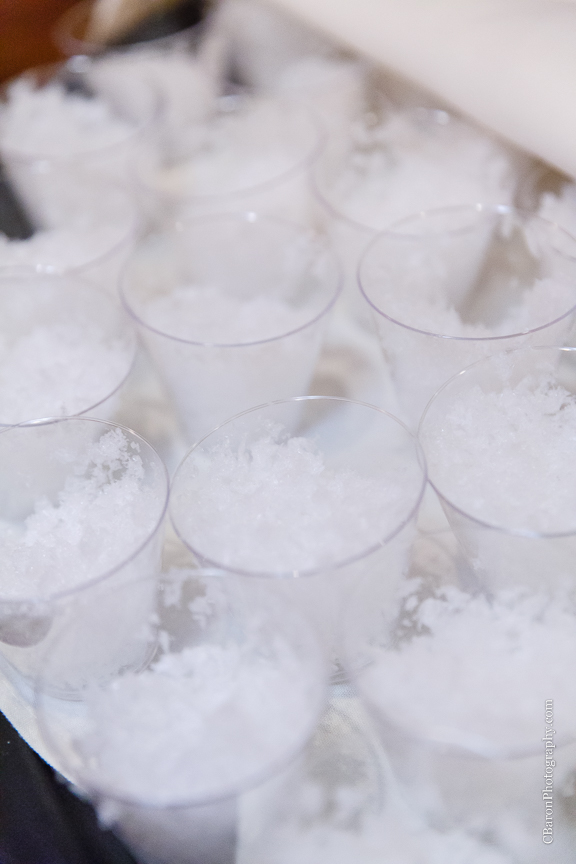 C. Baron Photography, Houston Wedding Photographer, Allure, bride, First Look, groom, Maggiano's Little Italy, St. Luke's United Methodist Church, strapless, fox stole, snow, bouquet, cathedral veil, roses, LSU, football helmet, Texas A&M, TAMU, Aggie War Hymn, cupcakes, baby's breath, classic, elegant, winter