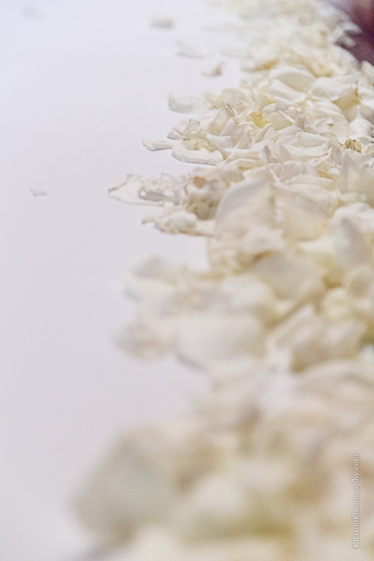 C.Baron Photography, Houston Wedding Photographer, Waller Wedding Photographer, Texas, Aggie War Hymn, Autumn, cathedral veil, elegant, fall, glamour, gold, grand march, Royals Royce, St. Johns Lutheran Church, Knights of Columbus Hall, Bouquets of Austin, sparklers, pink, champagne, classic, Sottero and Midgley, Swanky Photobooth, poppers