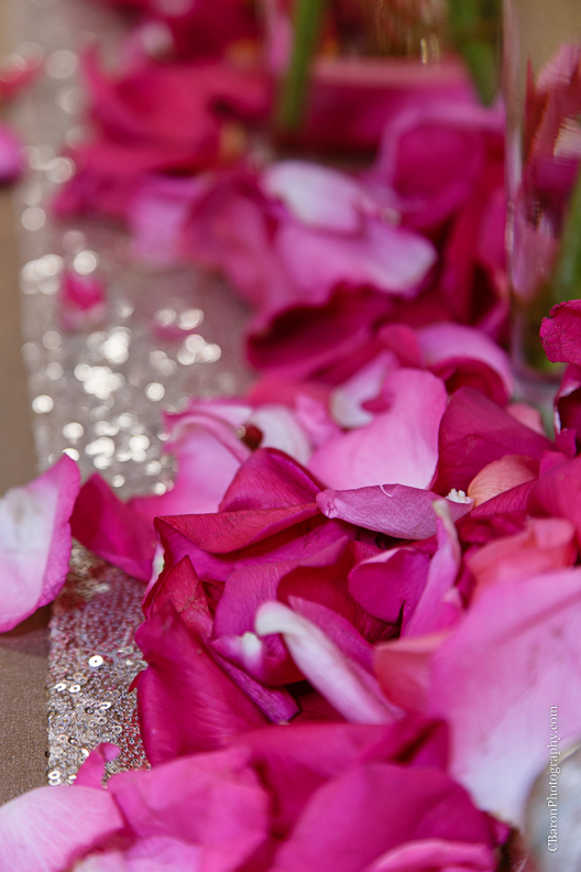 C.Baron Photography, Houston Wedding Photographer, Waller Wedding Photographer, Texas, Aggie War Hymn, Autumn, cathedral veil, elegant, fall, glamour, gold, grand march, Royals Royce, St. Johns Lutheran Church, Knights of Columbus Hall, Bouquets of Austin, sparklers, pink, champagne, classic, Sottero and Midgley, Swanky Photobooth, poppers