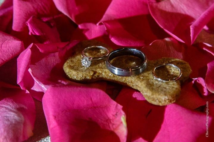 C.Baron Photography, Houston Wedding Photographer, Waller Wedding Photographer, Texas, Aggie War Hymn, Autumn, cathedral veil, elegant, fall, glamour, gold, grand march, Royals Royce, St. Johns Lutheran Church, Knights of Columbus Hall, Bouquets of Austin, sparklers, pink, champagne, classic, Sottero and Midgley, Swanky Photobooth, poppers