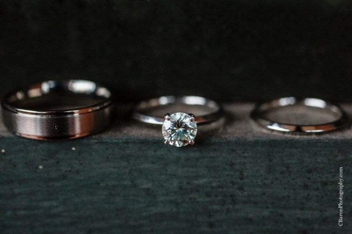 C. Baron Photography, Christ Chapel, Aston Villa, Galveston Wedding Photographer, Houston Wedding Photographer, Galveston Historical Foundation, Four Points by Sheraton, roses, hydrangeas, white, blue, bride, groom, couple, veil, church bell, chandelier, La Kings, strapless gown, Justin Alexander, March