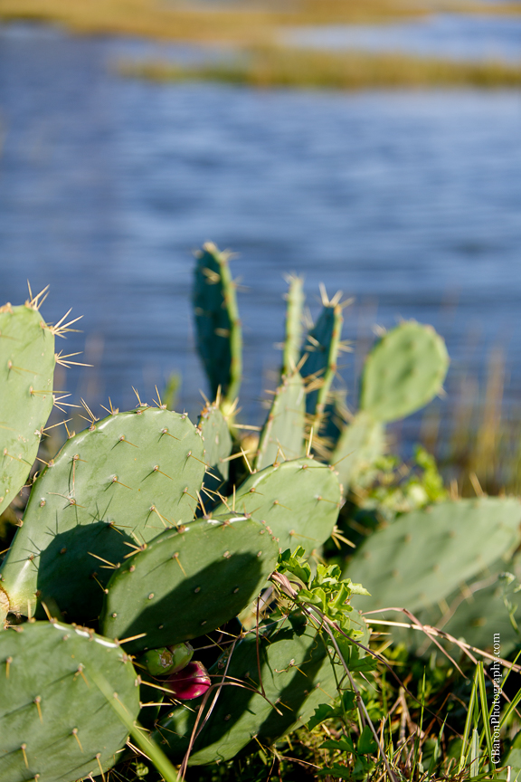 C. Baron Photography, Galveston Engagement Photographer, Houston Engagement Photographer, beach, couple, Galveston, Texas, jetties, surf, waves, sunset