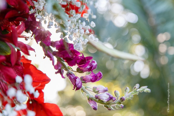 C. Baron Photography, Houston Wedding Photographer, Shirley Acres, couple, first look, bride, groom, red, roses, sparklers, Alfred Angelo, veil, bouquet, garden, garden wedding, sunset, Swanky Photobooth, Texas
