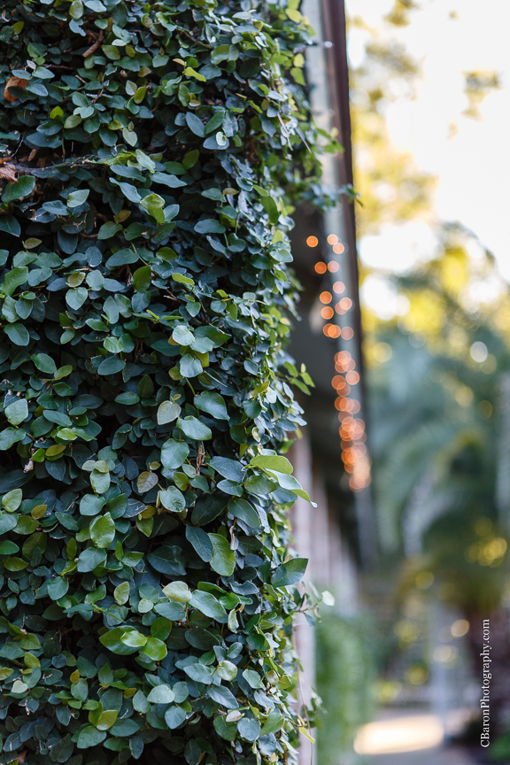 C. Baron Photography, Houston Wedding Photographer, Shirley Acres, couple, first look, bride, groom, red, roses, sparklers, Alfred Angelo, veil, bouquet, garden, garden wedding, sunset, Swanky Photobooth, Texas