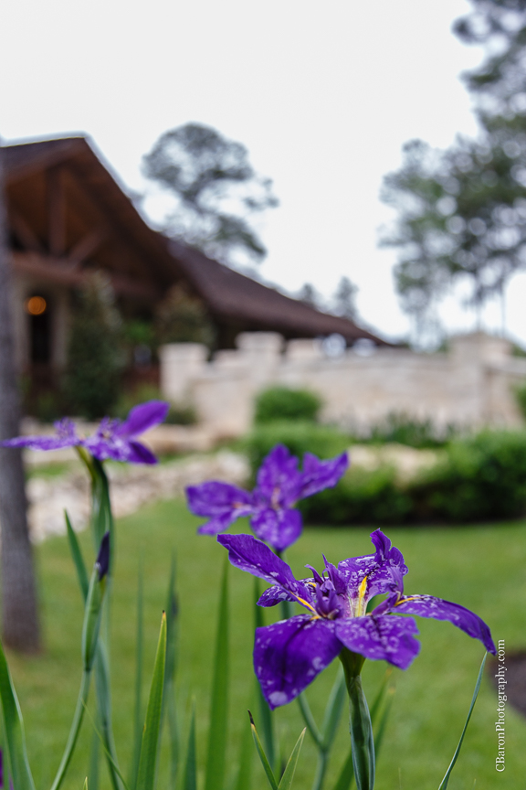 Beach; Blue; C. Baron Photography; Coral; Springs Events; Houston Wedding Photographer; Strapless; Houston Wedding Photography; Magnolia; Rain; Spring; 2015; Sunset; Texas; Turquoise; Woodlands Wedding Photographer; beaded; ceremony; crystal Springs; lace; outdoors; pine trees; reception; rustic; seashells; unity cross; 