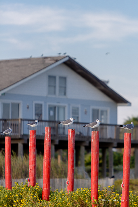 Beach; C. Baron Photography; Engagement; Fireman; Galveston Engagement; Galveston Wedding; Houston Wedding Photographer; Sunset; The Strand; jetties; surf; water;