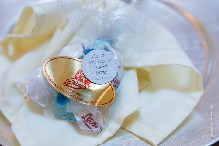 C. Baron Photography, Christ Chapel, Aston Villa, Galveston Wedding Photographer, Houston Wedding Photographer, Galveston Historical Foundation, Four Points by Sheraton, roses, hydrangeas, white, blue, bride, groom, couple, veil, church bell, chandelier, La Kings, strapless gown, Justin Alexander, March