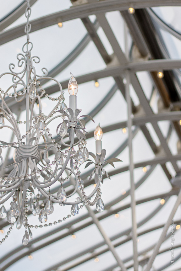 2014; A finer Event; Any Occasion Rentals; Artful Designs; Black Tie Wedding; Brickhouse Bridal; C. Baron Photography; Downtown Blooms; Edible designs by Jessie; Enzoani Indigo; First Look; Gardens of Bammel Lane; Houston Wedding Photographer; Imagine That!; June; Outdoor Wedding; Over the Top Linens; Purple; Pweter; Silver; Vera Wang tux; White;