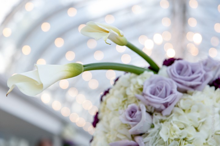 2014; A finer Event; Any Occasion Rentals; Artful Designs; Black Tie Wedding; Brickhouse Bridal; C. Baron Photography; Downtown Blooms; Edible designs by Jessie; Enzoani Indigo; First Look; Gardens of Bammel Lane; Houston Wedding Photographer; Imagine That!; June; Outdoor Wedding; Over the Top Linens; Purple; Pweter; Silver; Vera Wang tux; White;