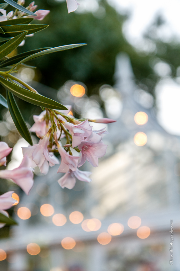 2014; A finer Event; Any Occasion Rentals; Artful Designs; Black Tie Wedding; Brickhouse Bridal; C. Baron Photography; Downtown Blooms; Edible designs by Jessie; Enzoani Indigo; First Look; Gardens of Bammel Lane; Houston Wedding Photographer; Imagine That!; June; Outdoor Wedding; Over the Top Linens; Purple; Pweter; Silver; Vera Wang tux; White; 